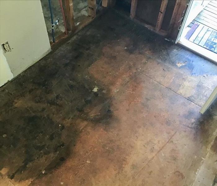 Mold growth that was found on the floor of a Kennewick, WA home after removing the carpet