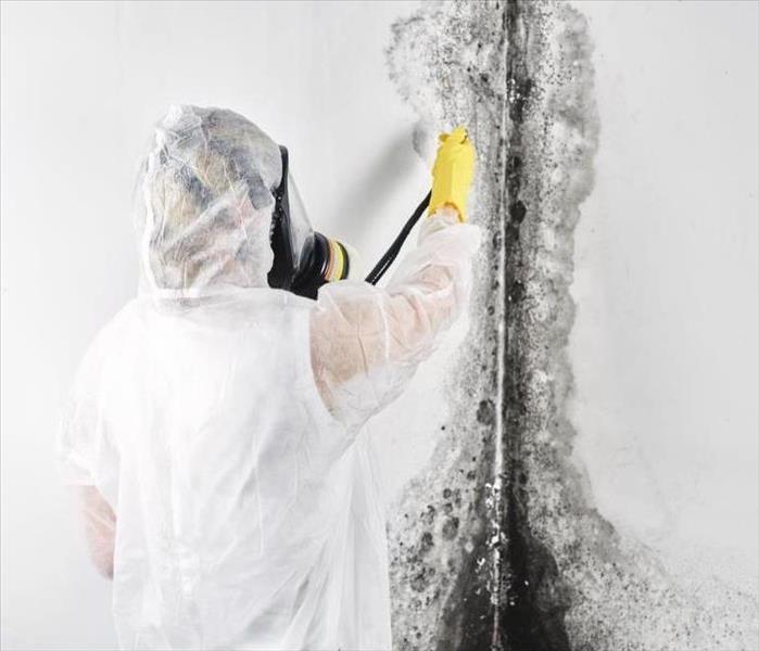 A specialist removing mold from of a room